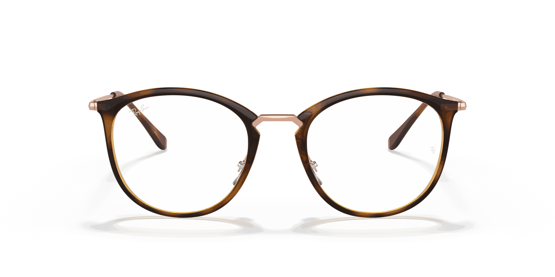[Clear Lenses, Polished Striped Havana Frame]