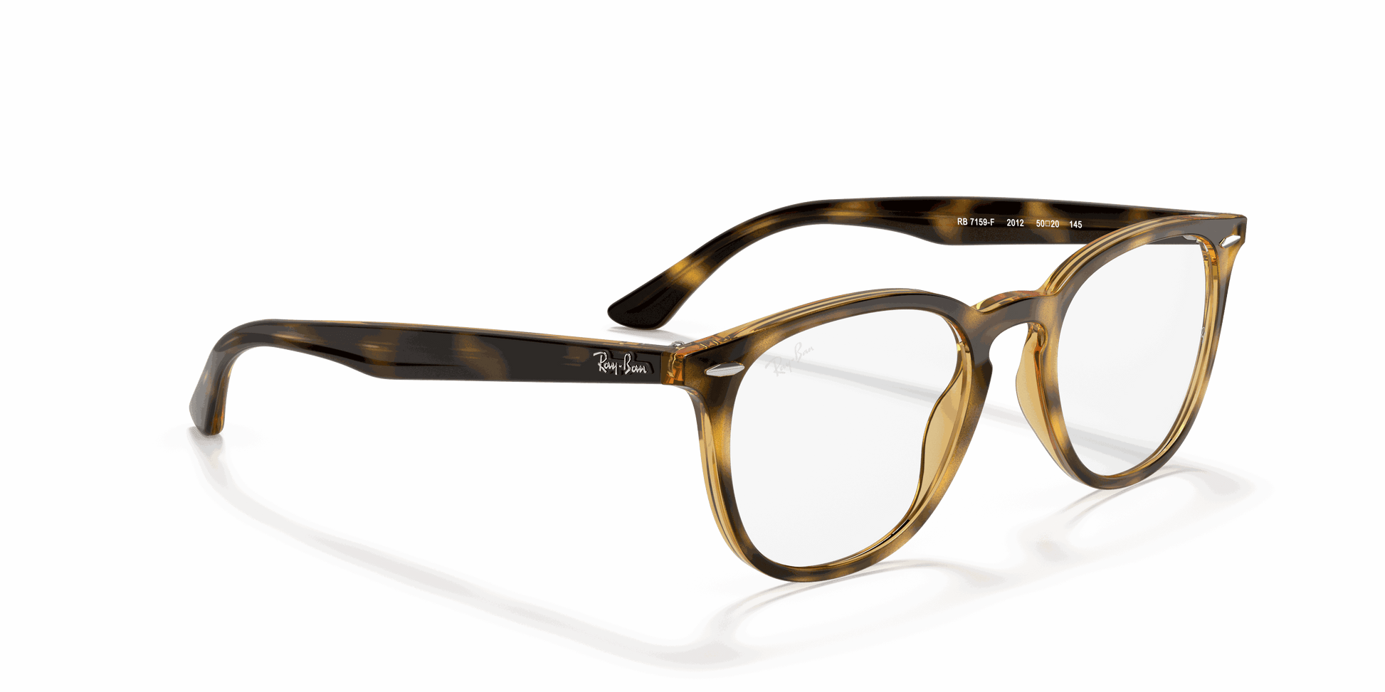 [Clear Lenses, Polished Havana Frame]