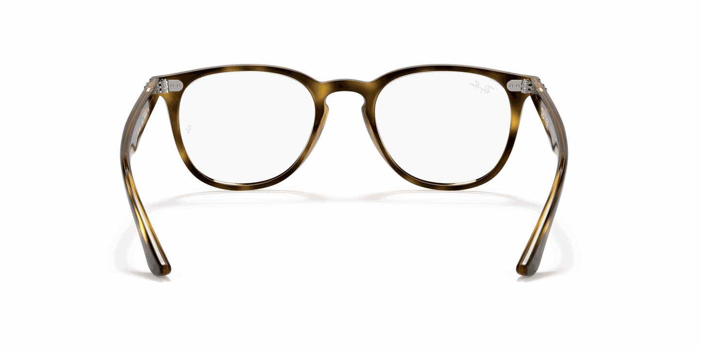 [Clear Lenses, Polished Havana Frame]