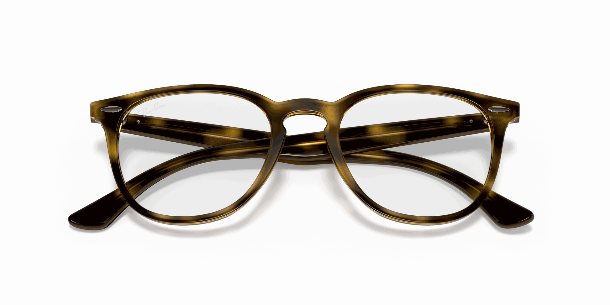 [Clear Lenses, Polished Havana Frame]