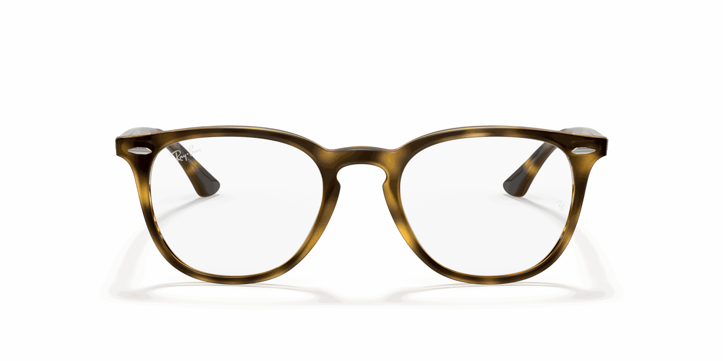 [Clear Lenses, Polished Havana Frame]