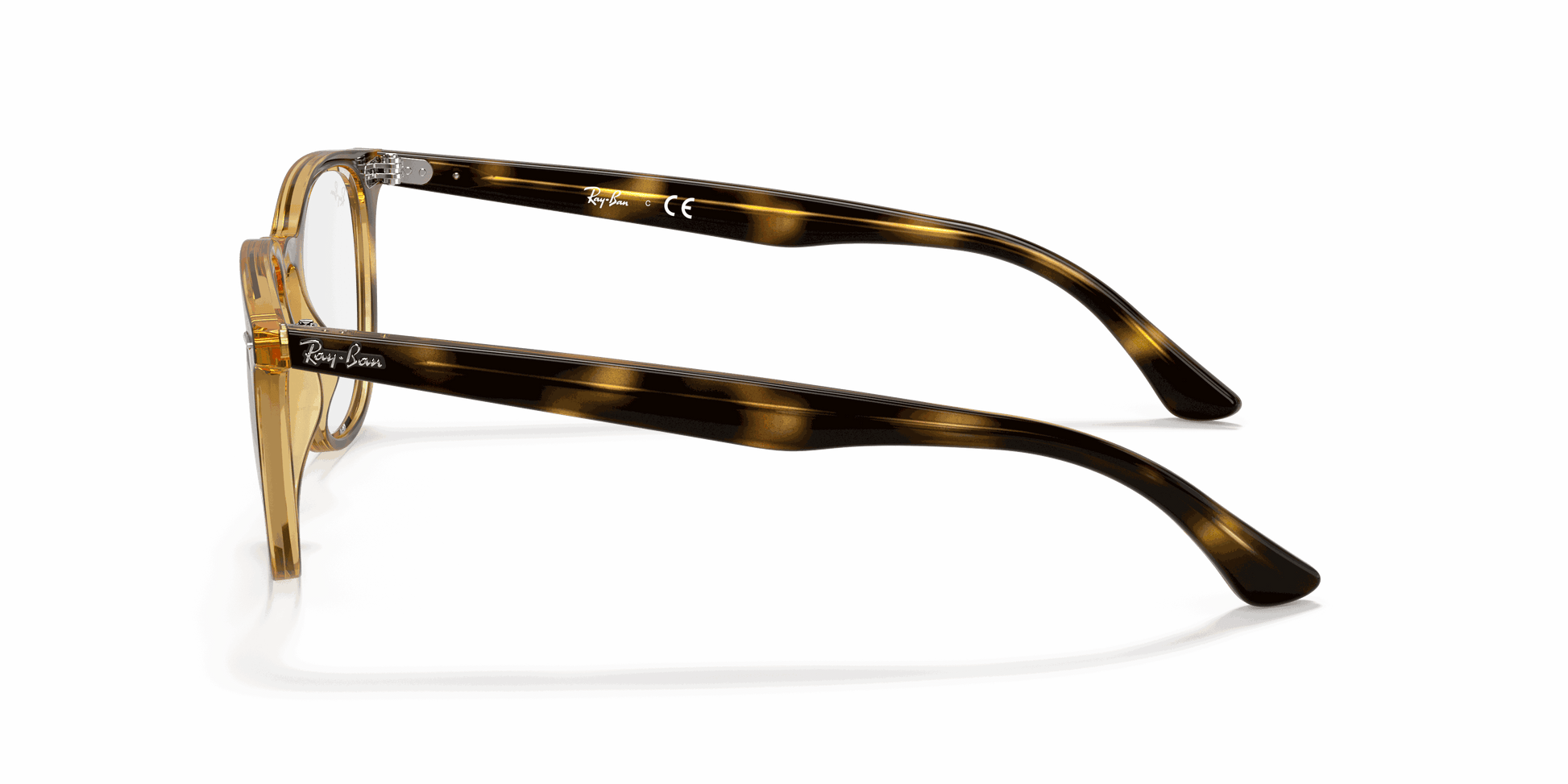 [Clear Lenses, Polished Havana Frame]