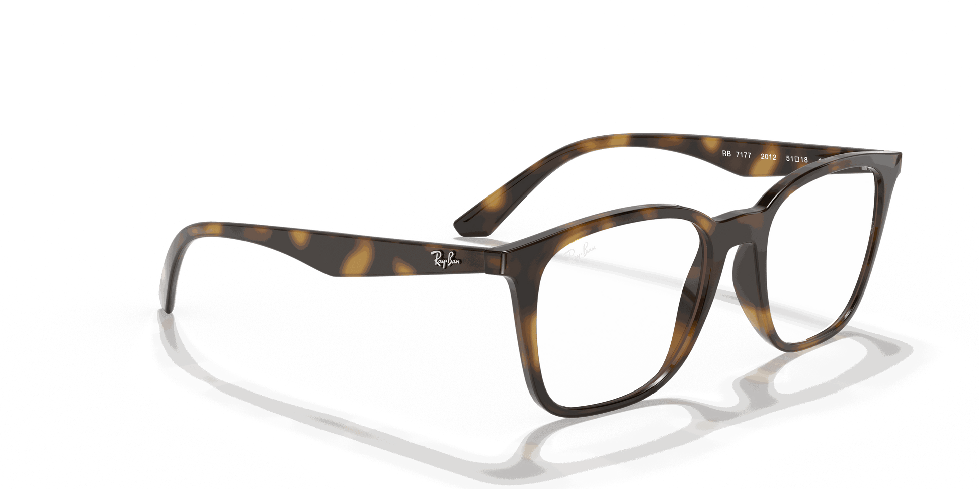 [Clear Lenses, Polished Havana Frame]