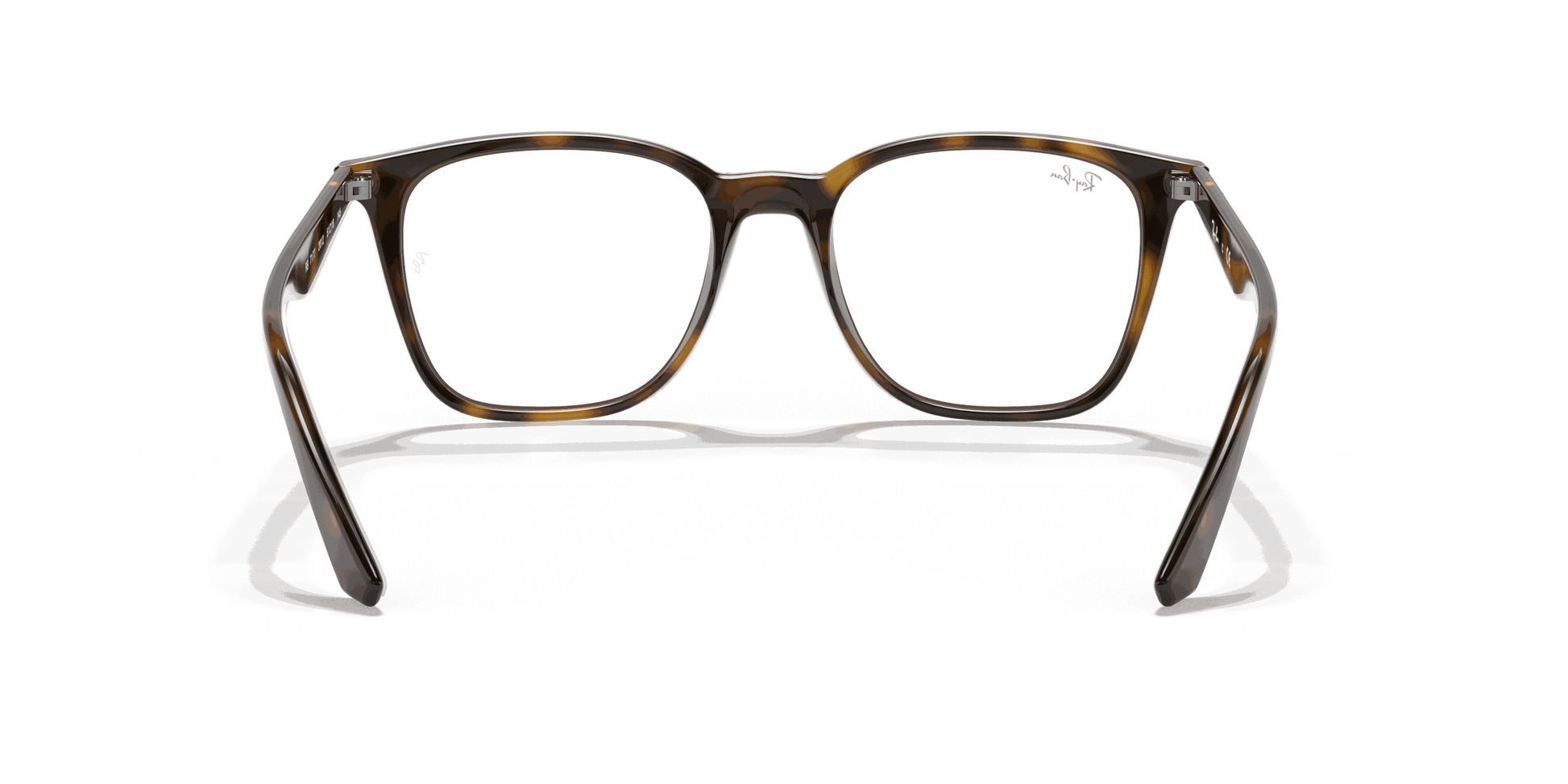 [Clear Lenses, Polished Havana Frame]