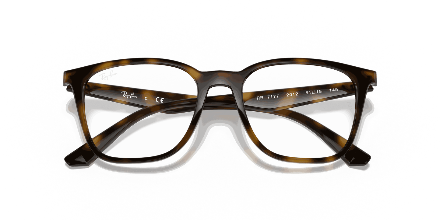 [Clear Lenses, Polished Havana Frame]