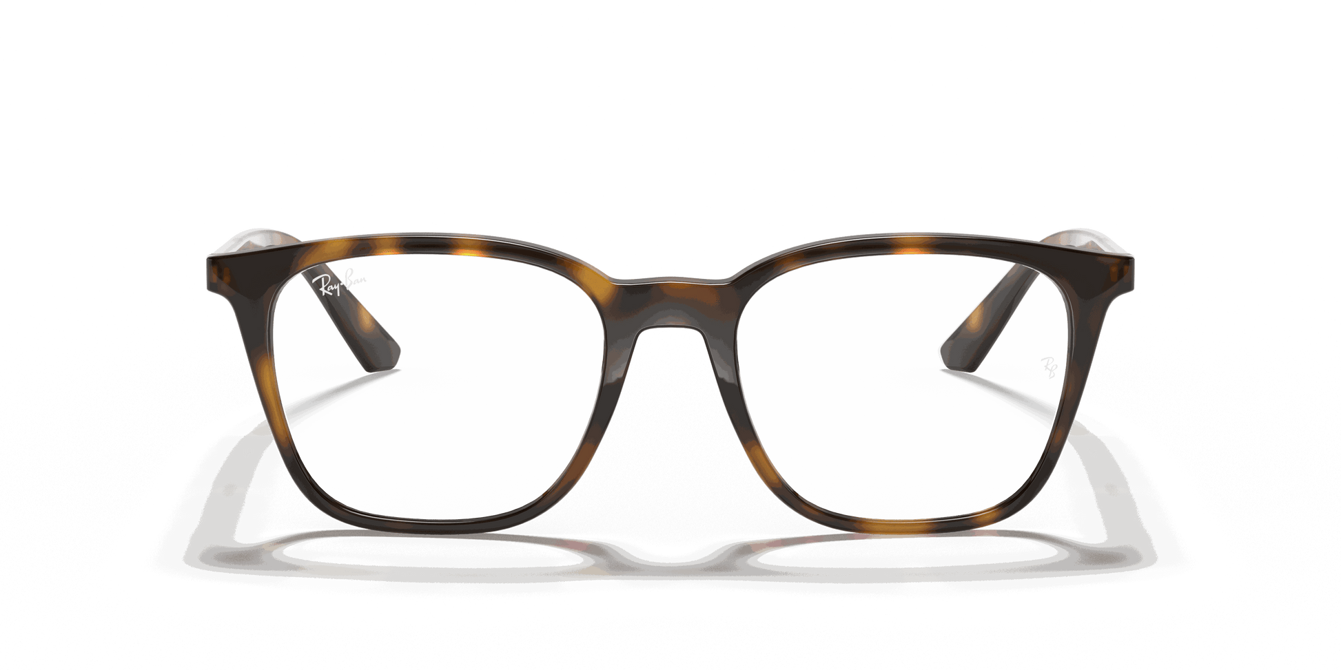 [Clear Lenses, Polished Havana Frame]