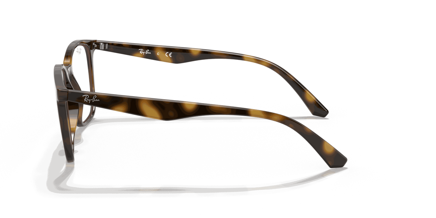 [Clear Lenses, Polished Havana Frame]