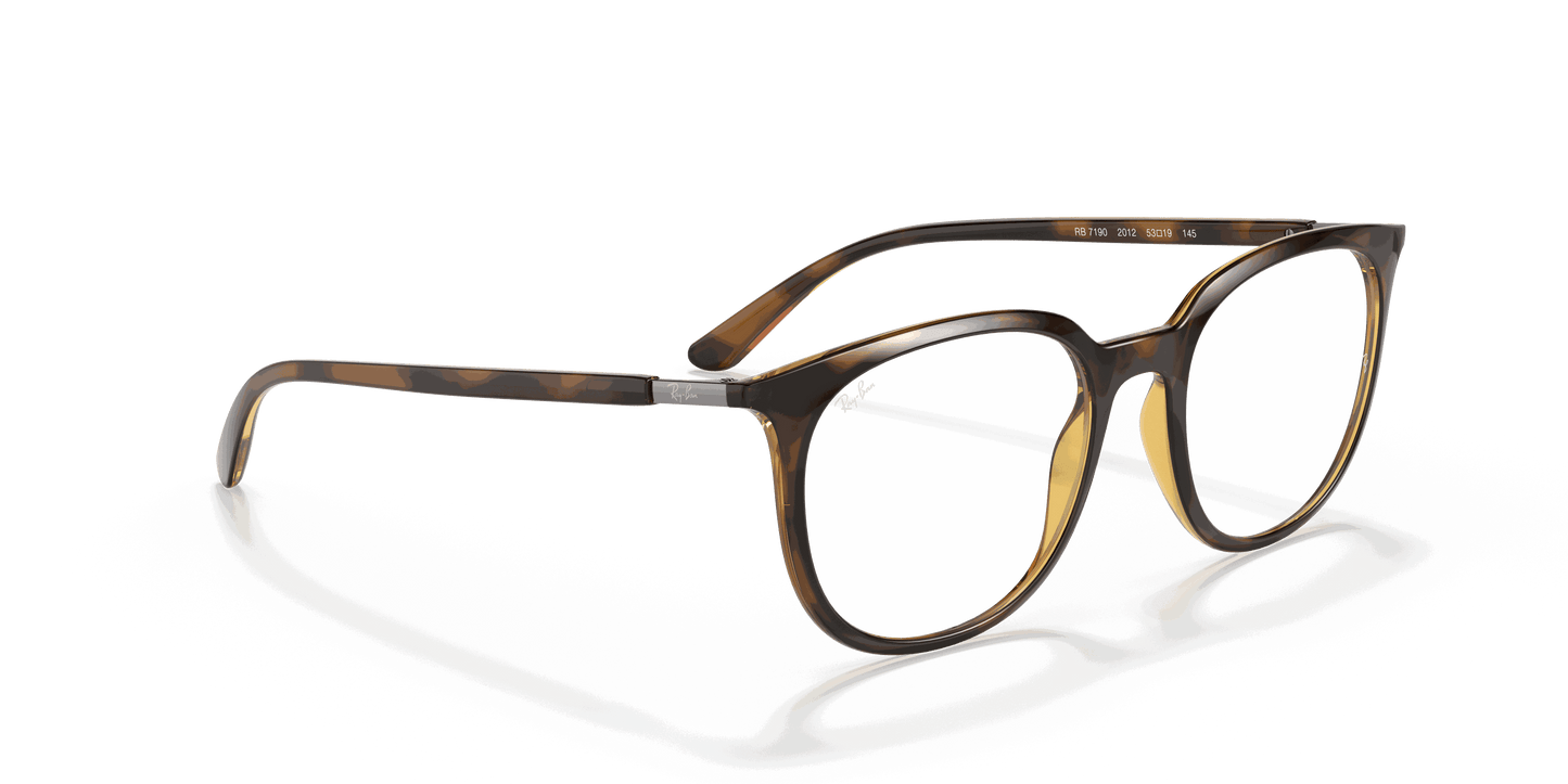 [Clear Lenses, Polished Havana Frame]