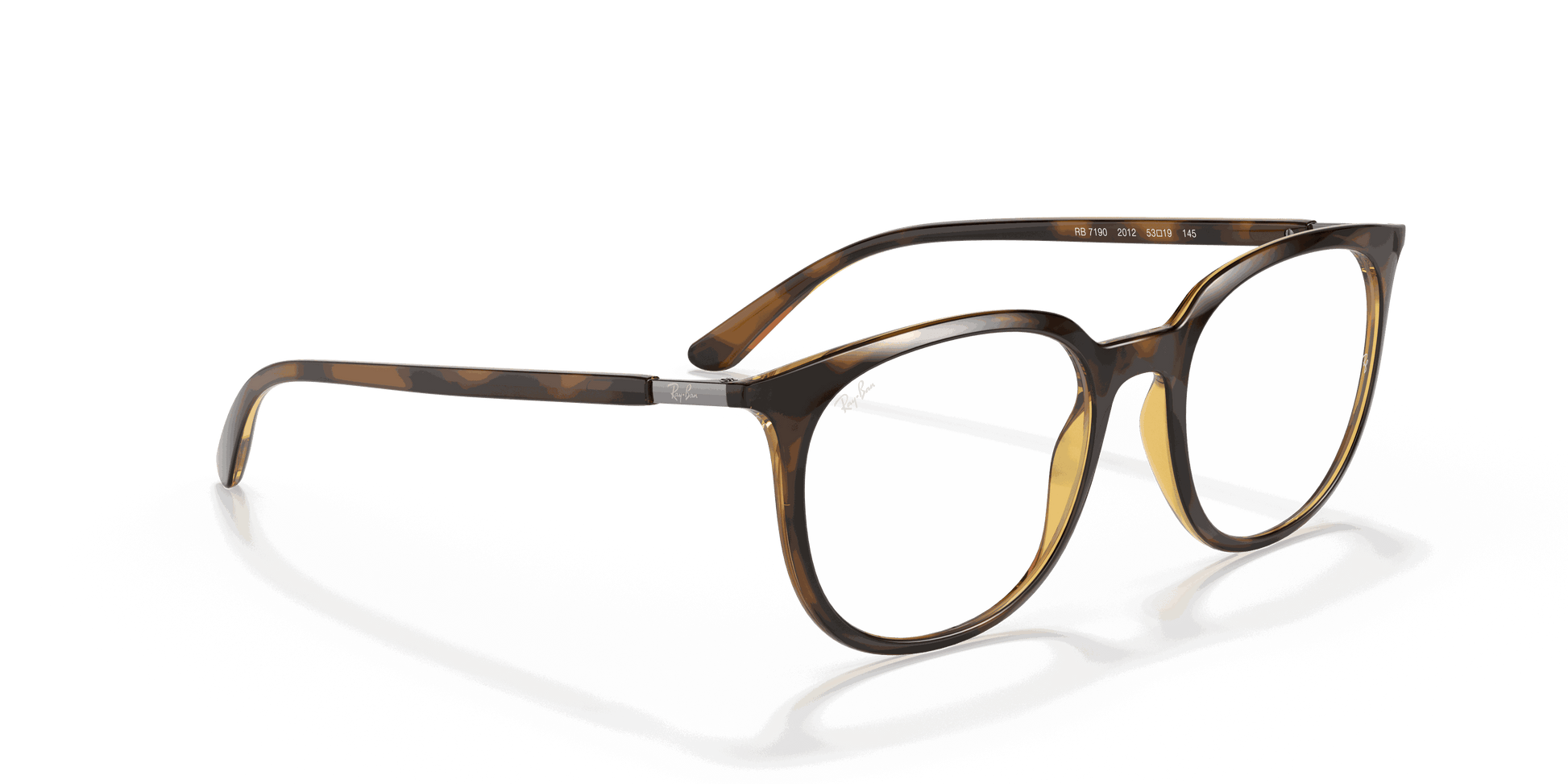 [Clear Lenses, Polished Havana Frame]