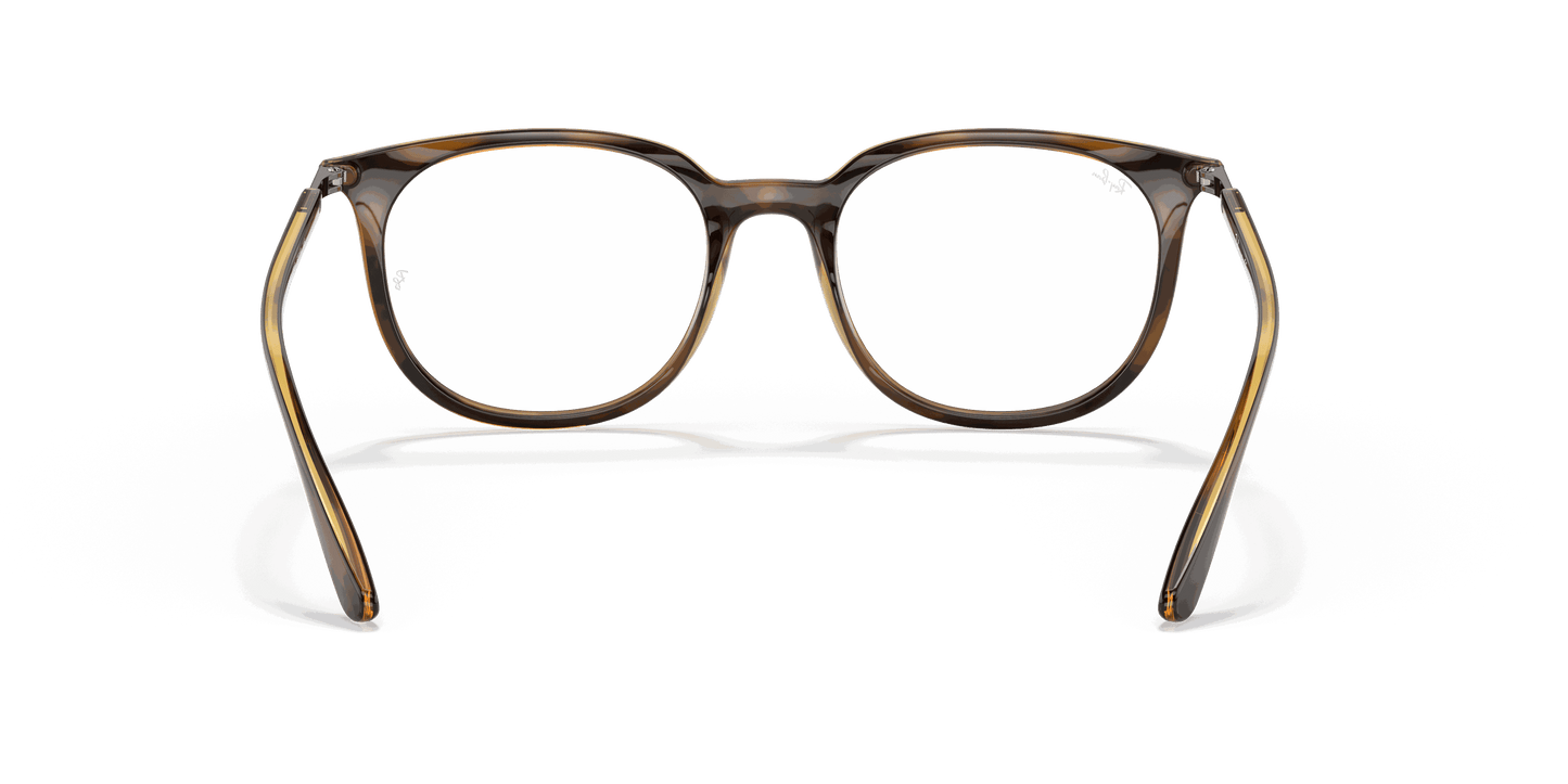 [Clear Lenses, Polished Havana Frame]