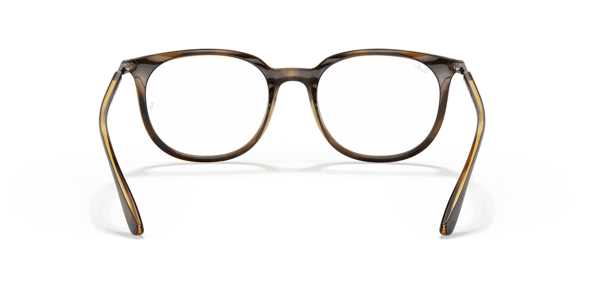 [Clear Lenses, Polished Havana Frame]