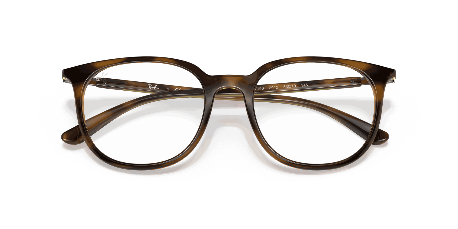 [Clear Lenses, Polished Havana Frame]