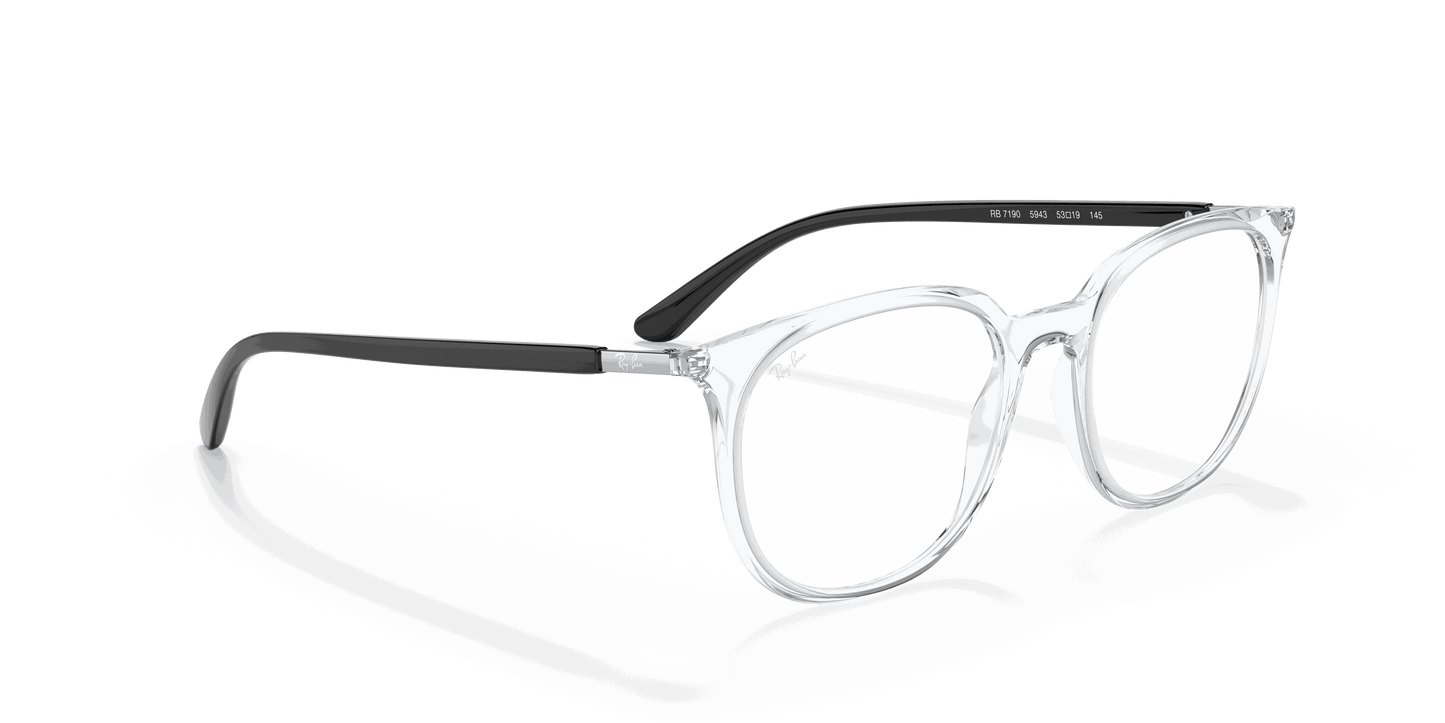 [Clear Lenses, Polished Transparent Frame]