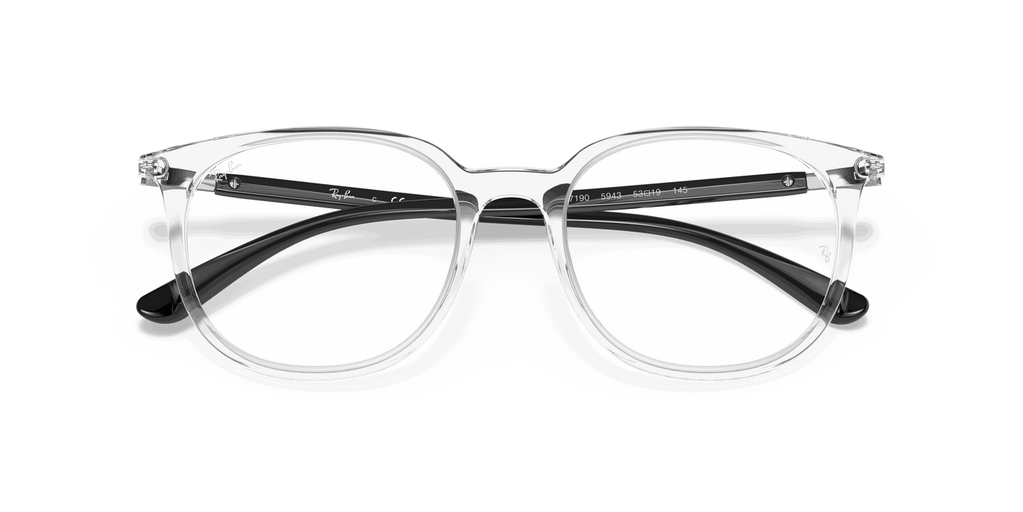 [Clear Lenses, Polished Transparent Frame]