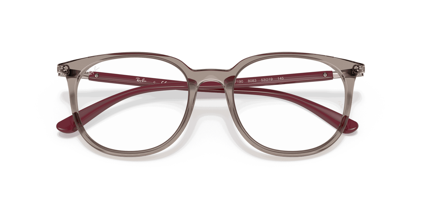 [Clear Lenses, Polished Transparent Grey Frame]