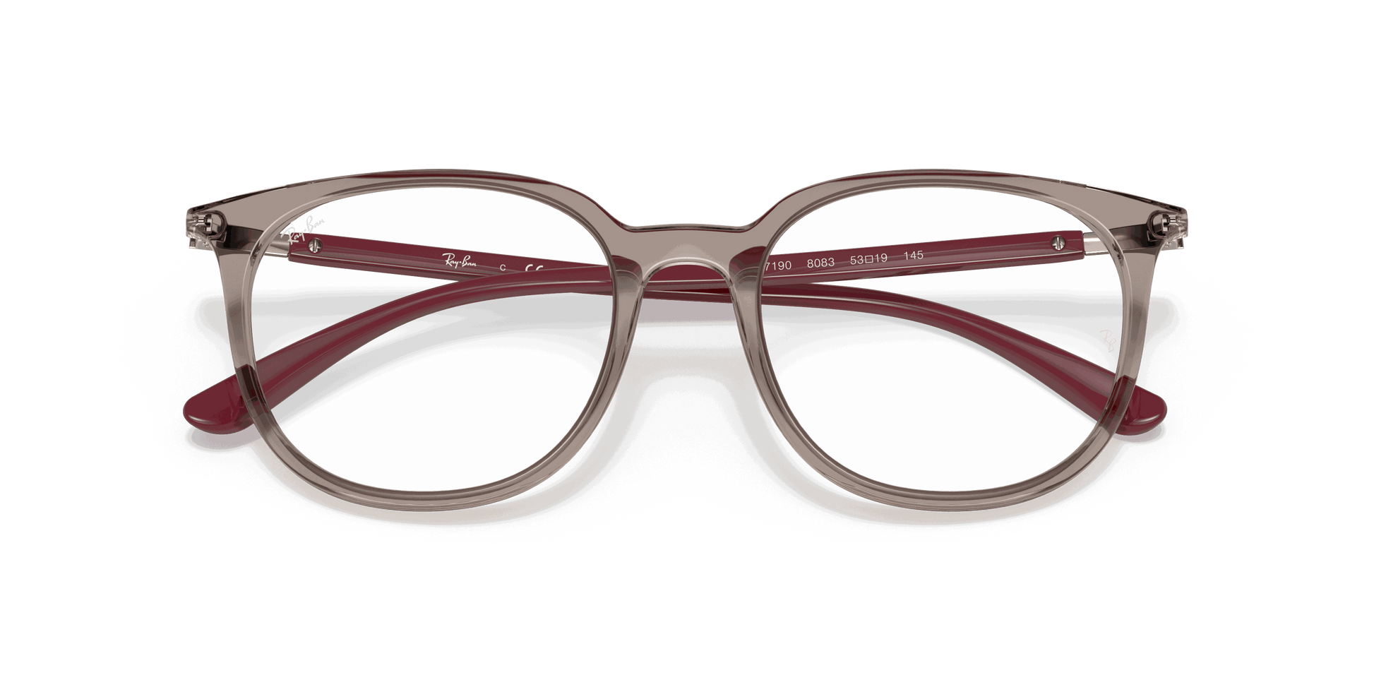 [Clear Lenses, Polished Transparent Grey Frame]