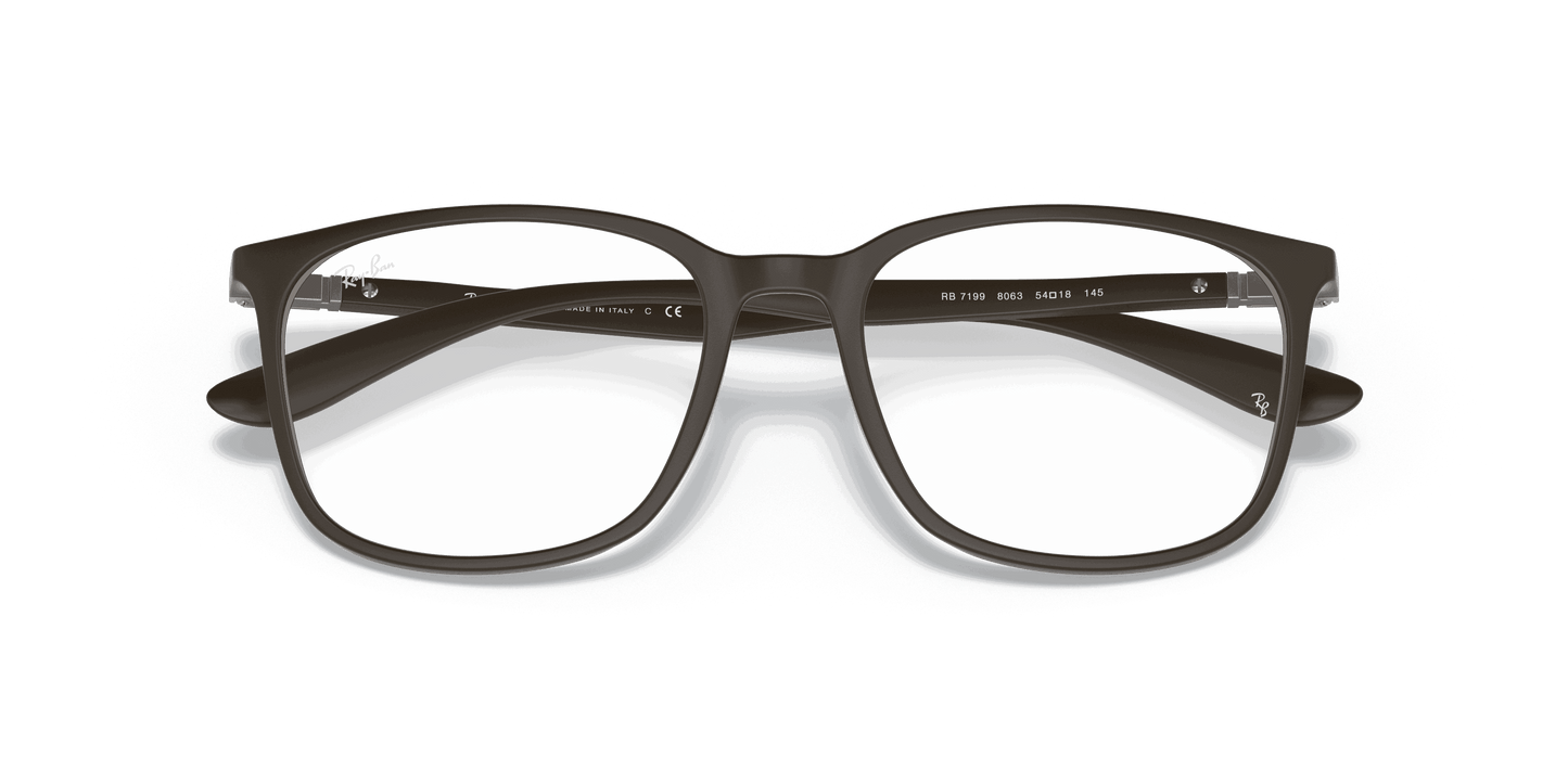[Clear Lenses, Matte Brown Frame]