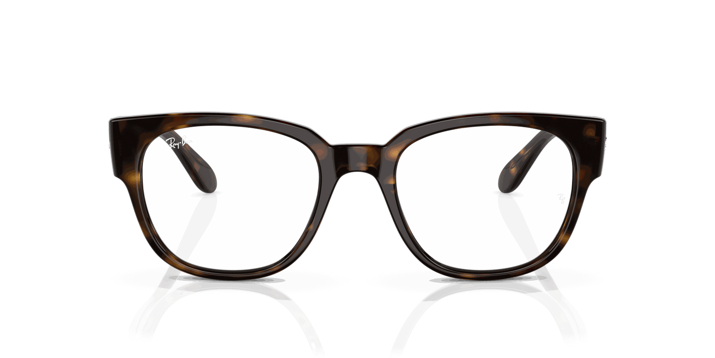 [Clear Lenses, Polished Havana Frame]