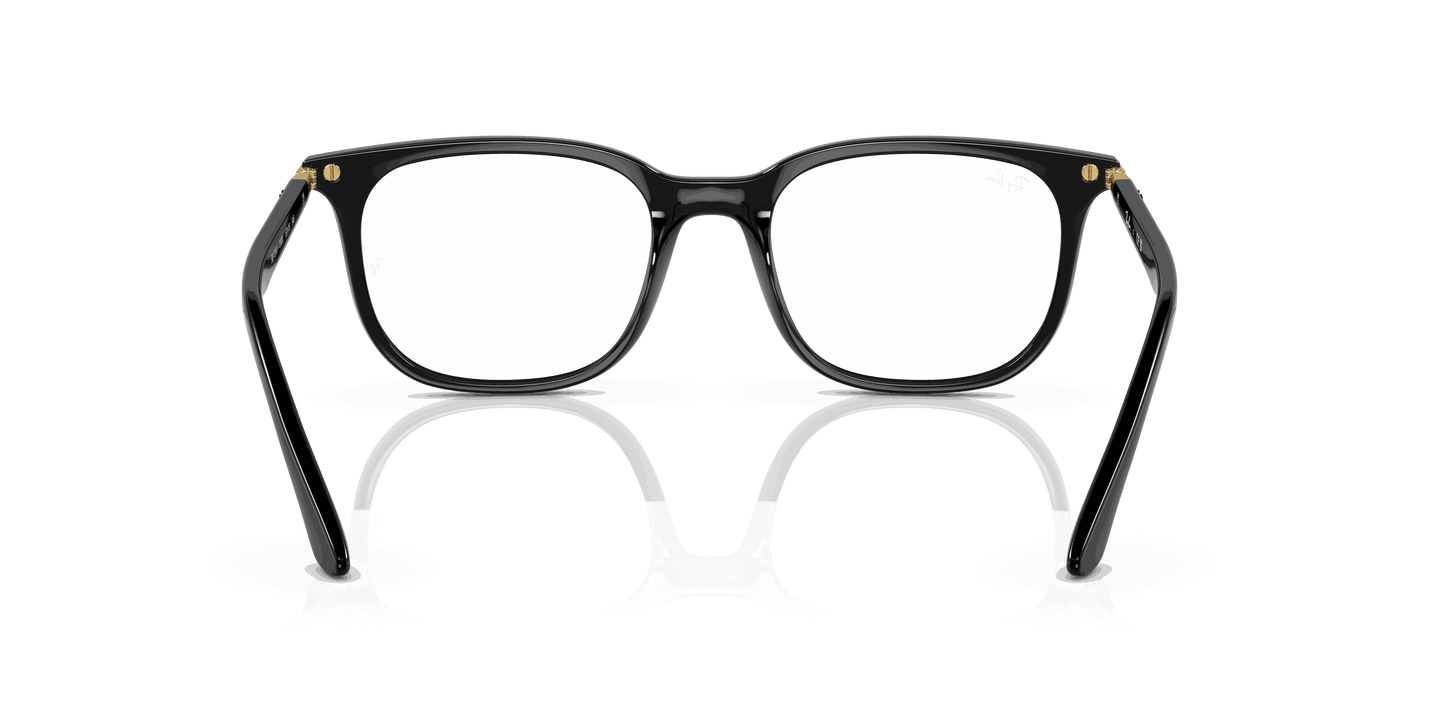 [Clear Lenses, Polished Black Frame]