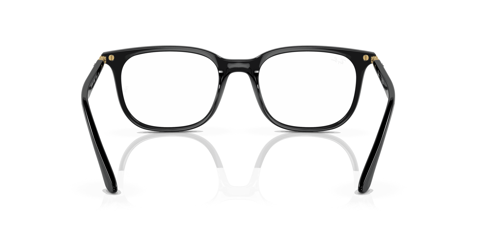 [Clear Lenses, Polished Black Frame]