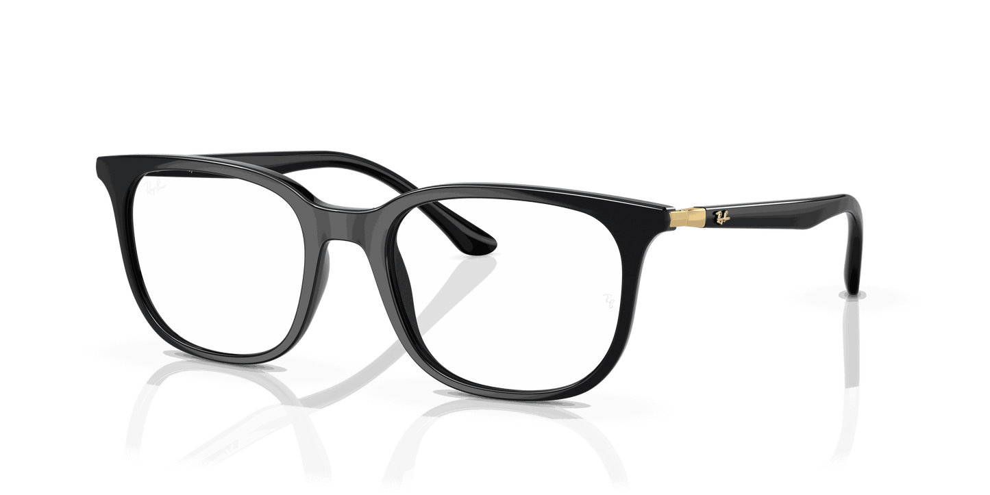 [Clear Lenses, Polished Black Frame]