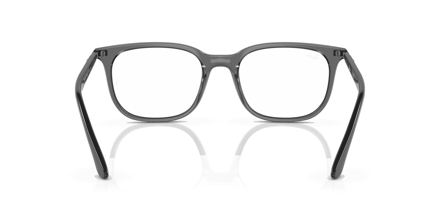 [Clear Lenses, Polished Transparent Grey Frame]