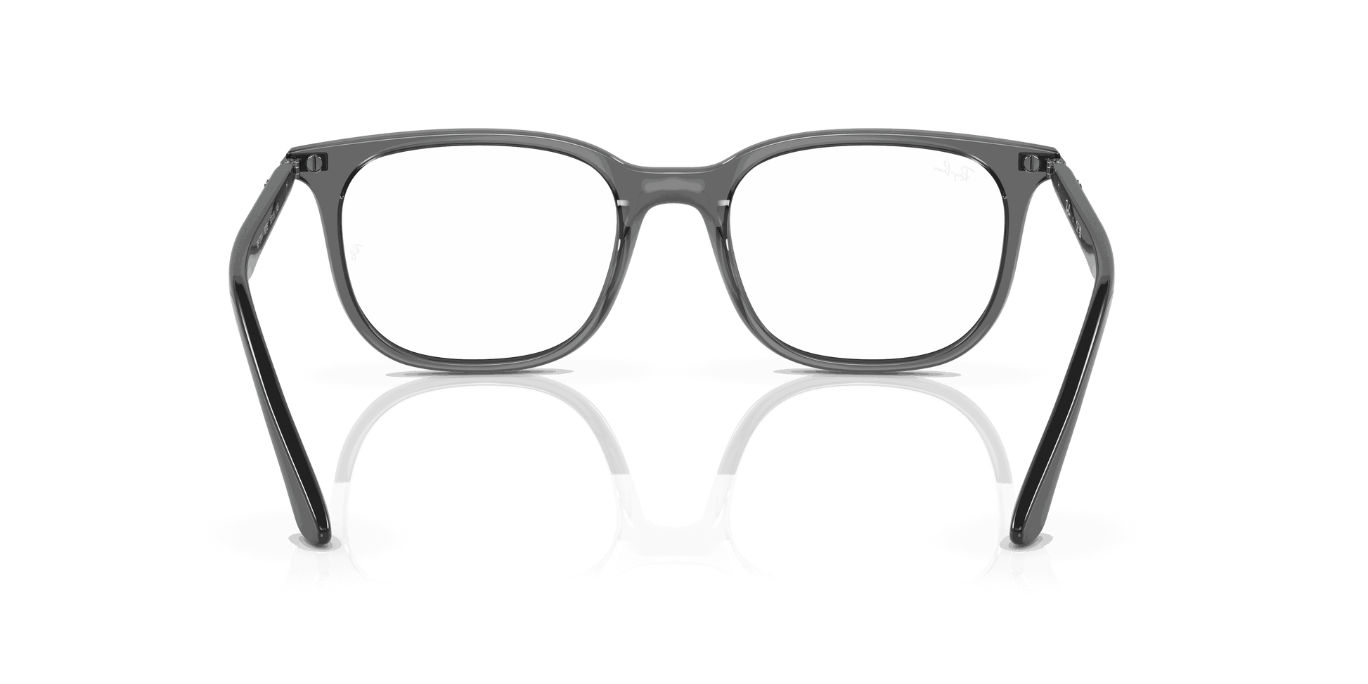 [Clear Lenses, Polished Transparent Grey Frame]