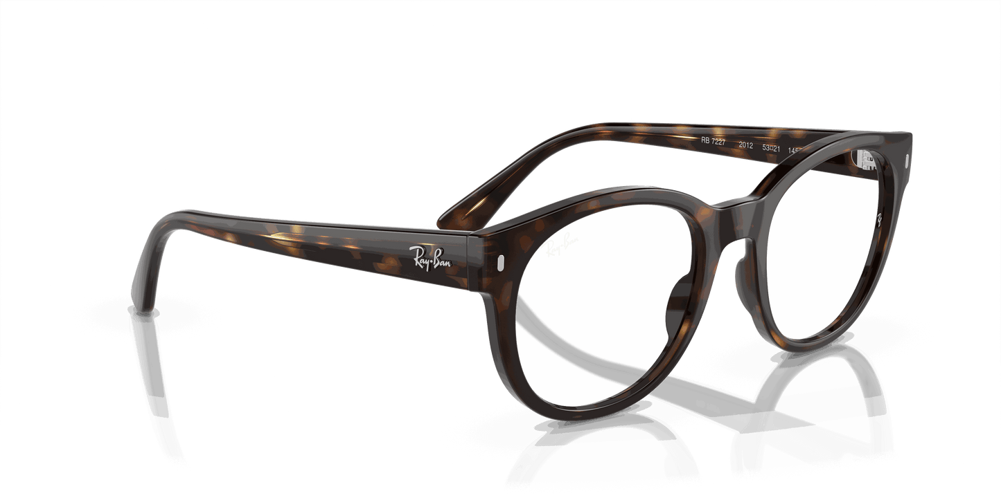 [Demo Lens Lenses, Polished Havana Frame]
