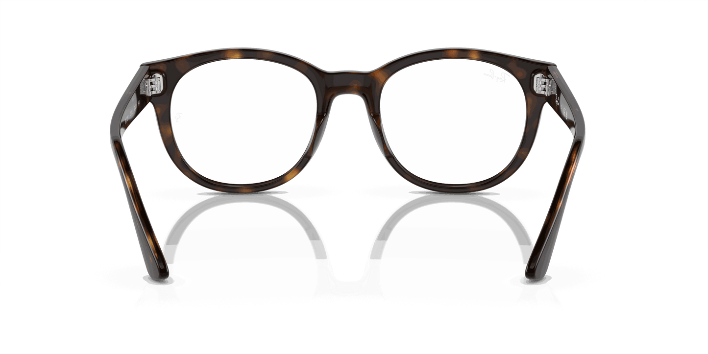 [Demo Lens Lenses, Polished Havana Frame]