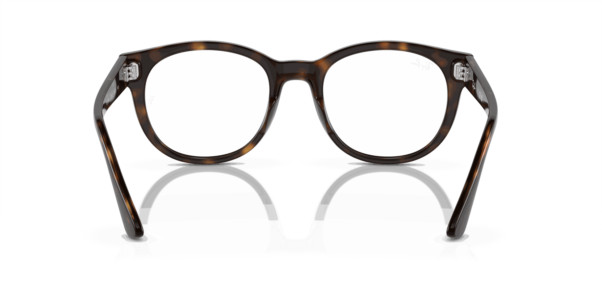 [Demo Lens Lenses, Polished Havana Frame]