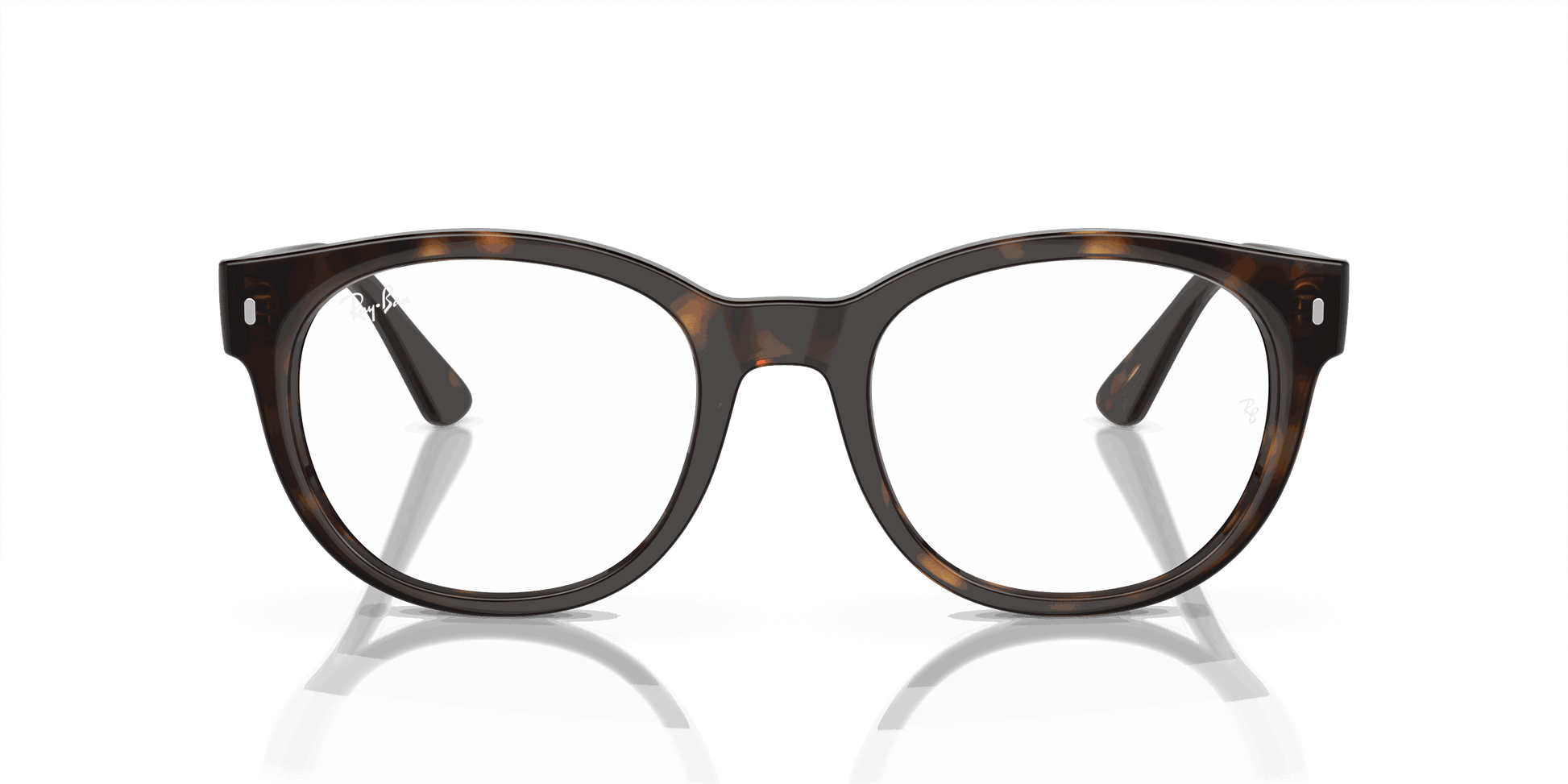 [Demo Lens Lenses, Polished Havana Frame]