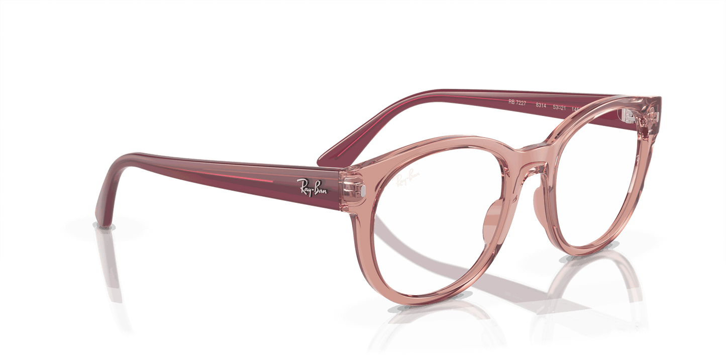 [Clear Lenses, Polished Transparent Pink Frame]