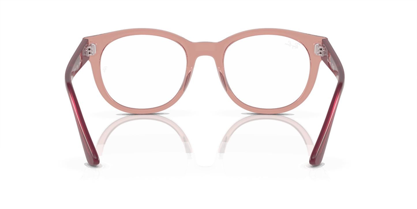 [Clear Lenses, Polished Transparent Pink Frame]