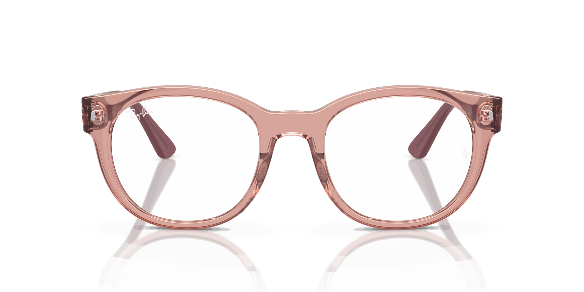 [Clear Lenses, Polished Transparent Pink Frame]