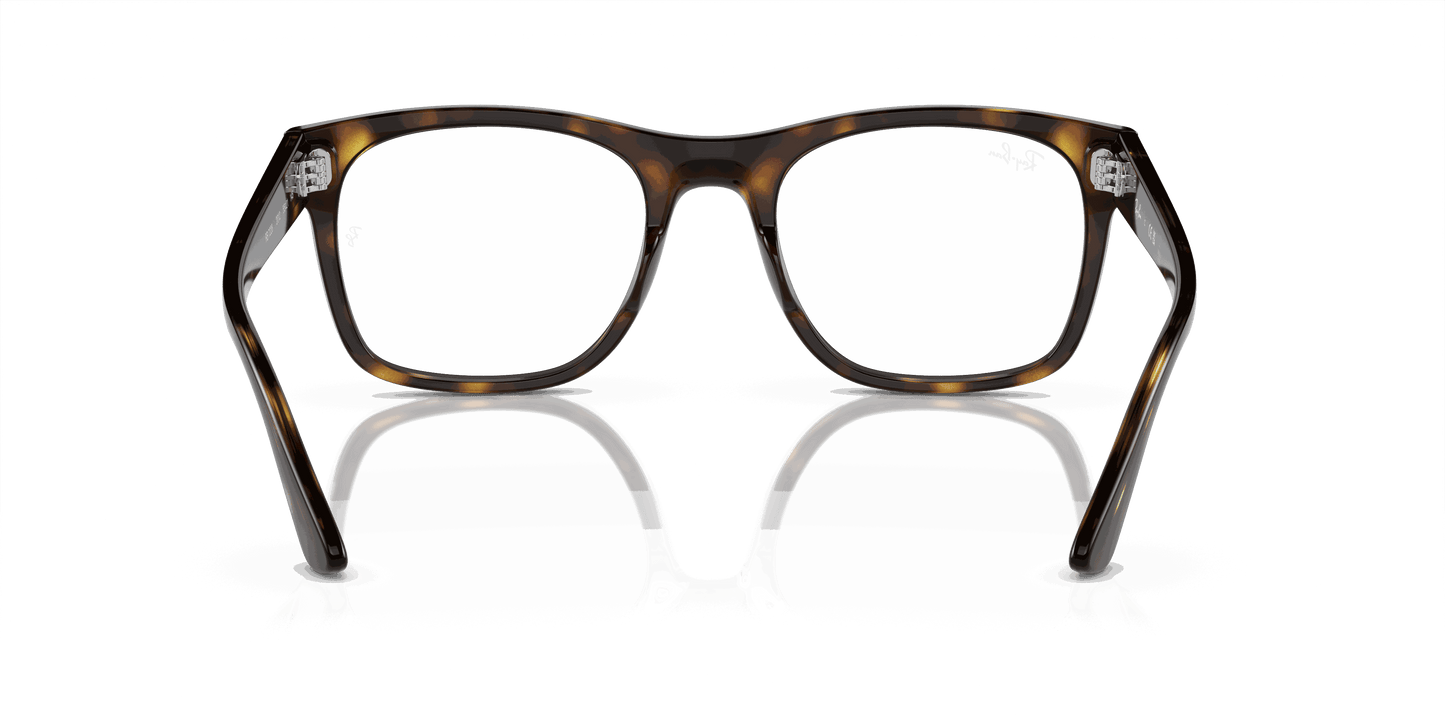 [Demo Lens Lenses, Polished Havana Frame]