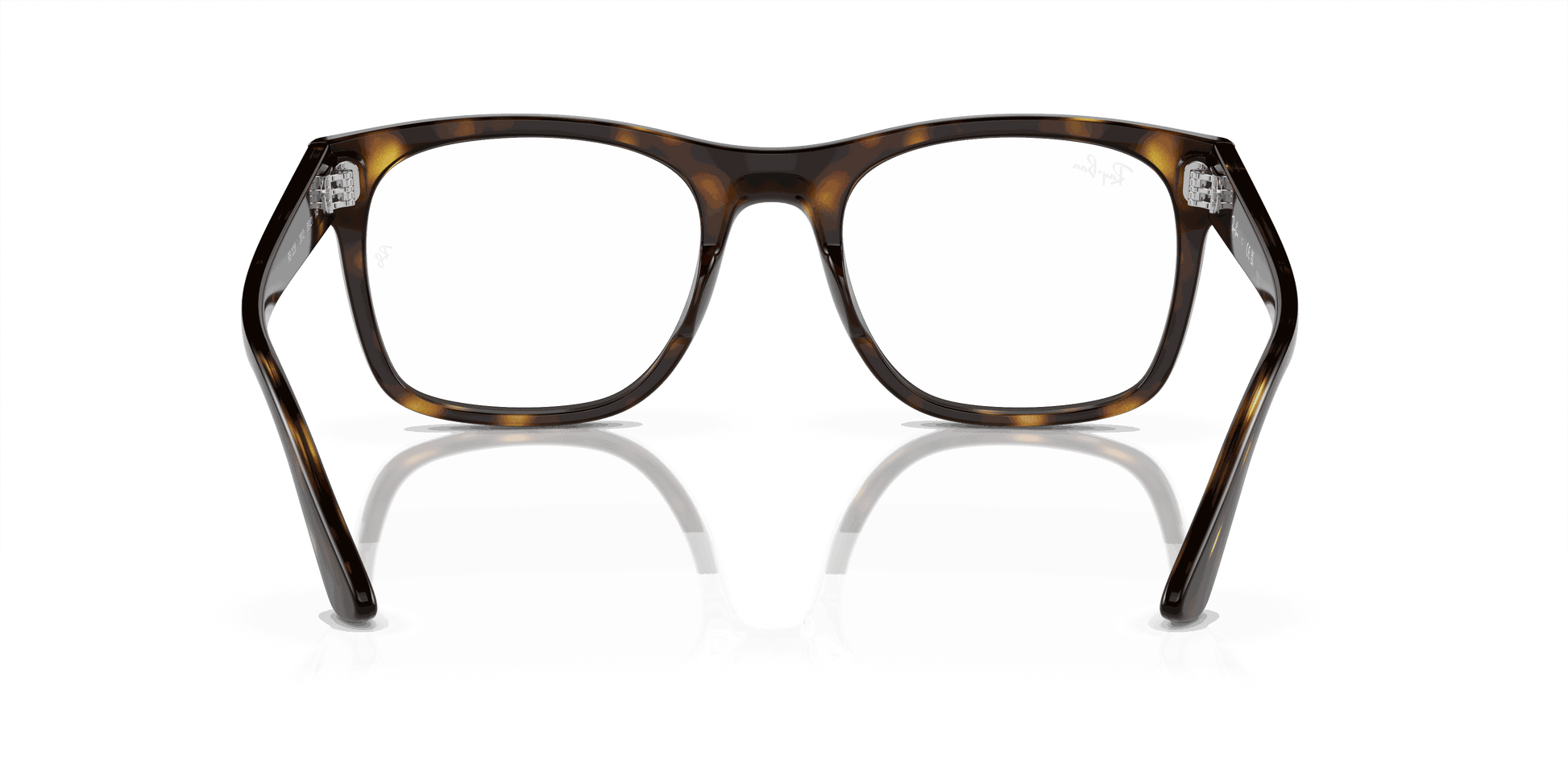[Demo Lens Lenses, Polished Havana Frame]