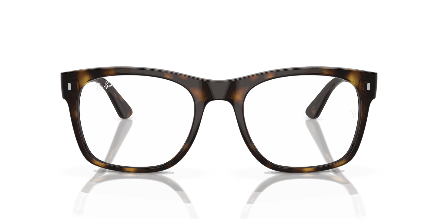 [Demo Lens Lenses, Polished Havana Frame]