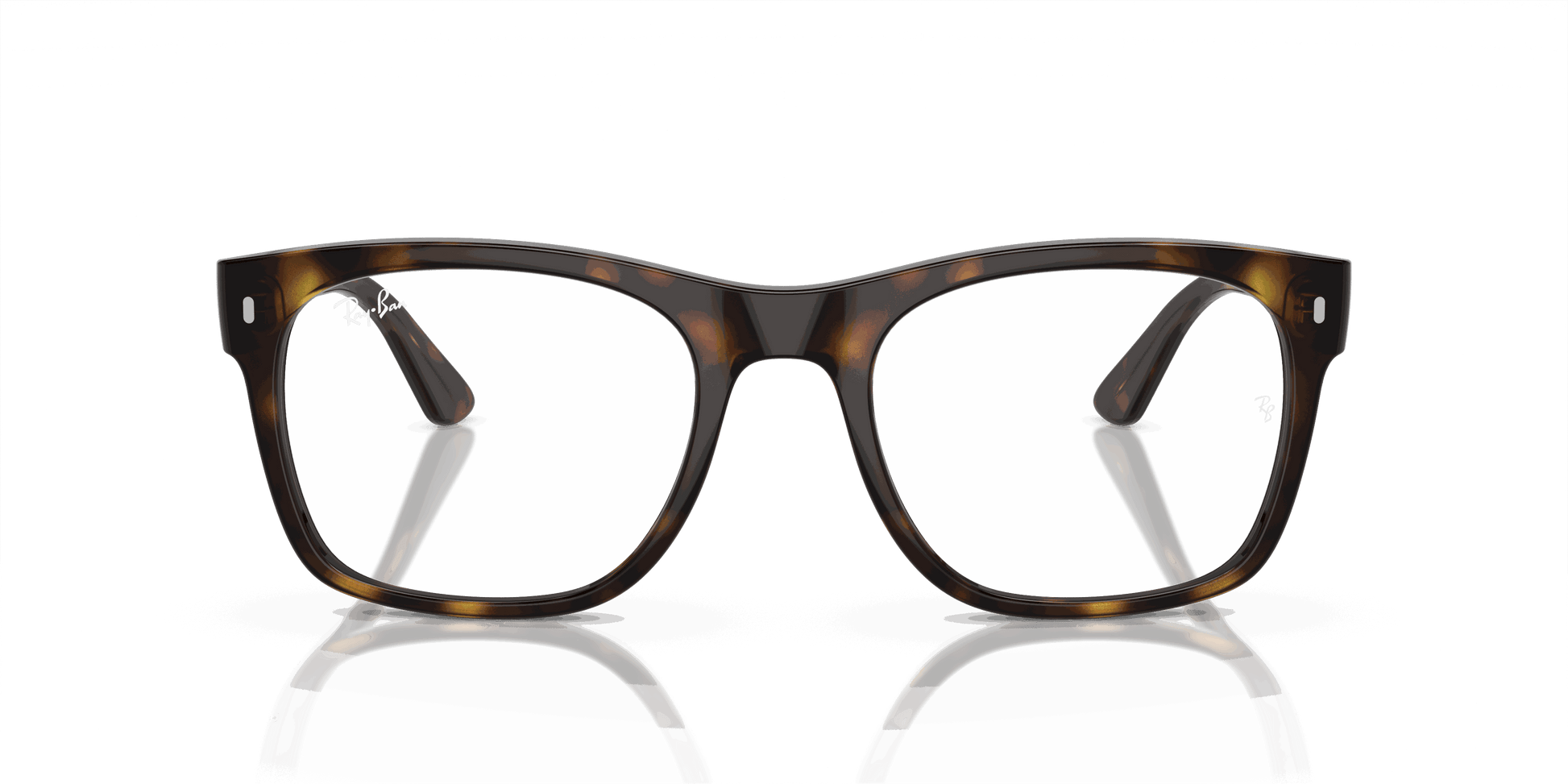 [Demo Lens Lenses, Polished Havana Frame]