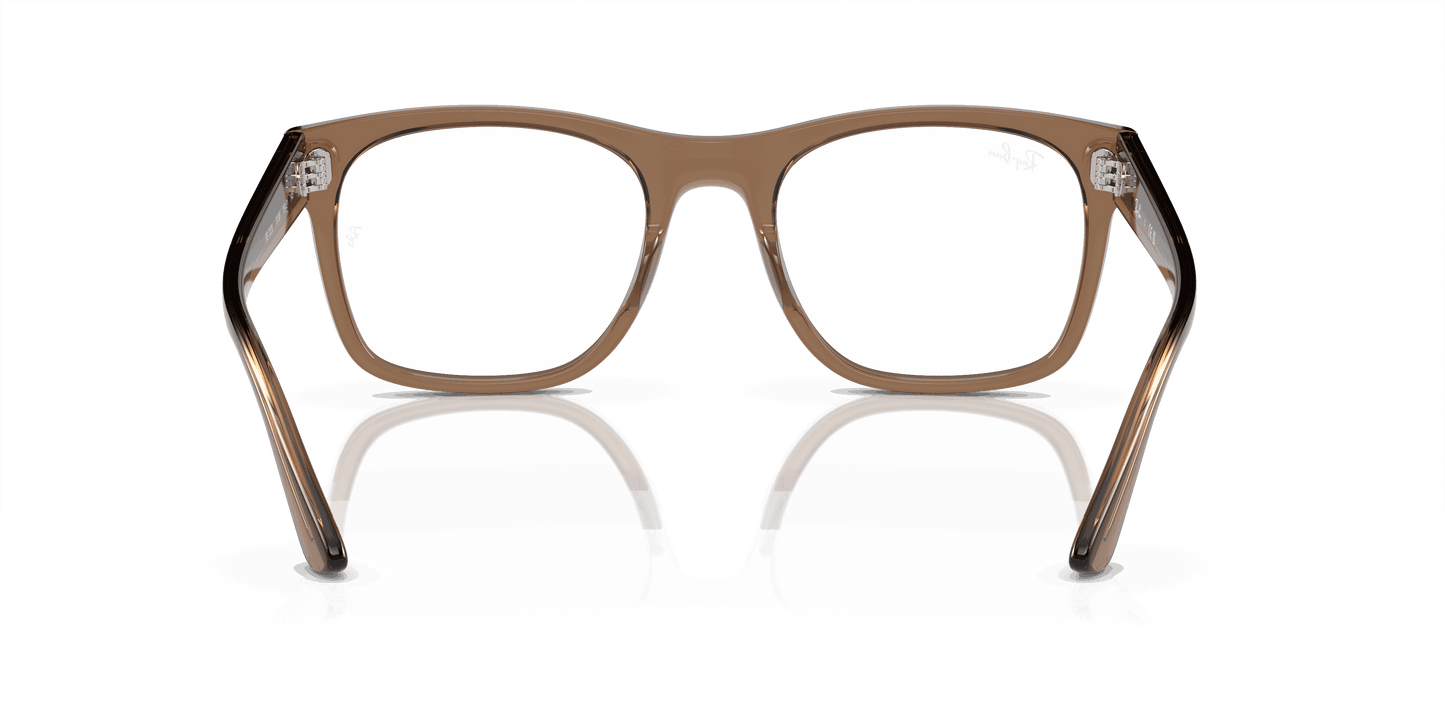[Clear Lenses, Polished Transparent Light Brown Frame]