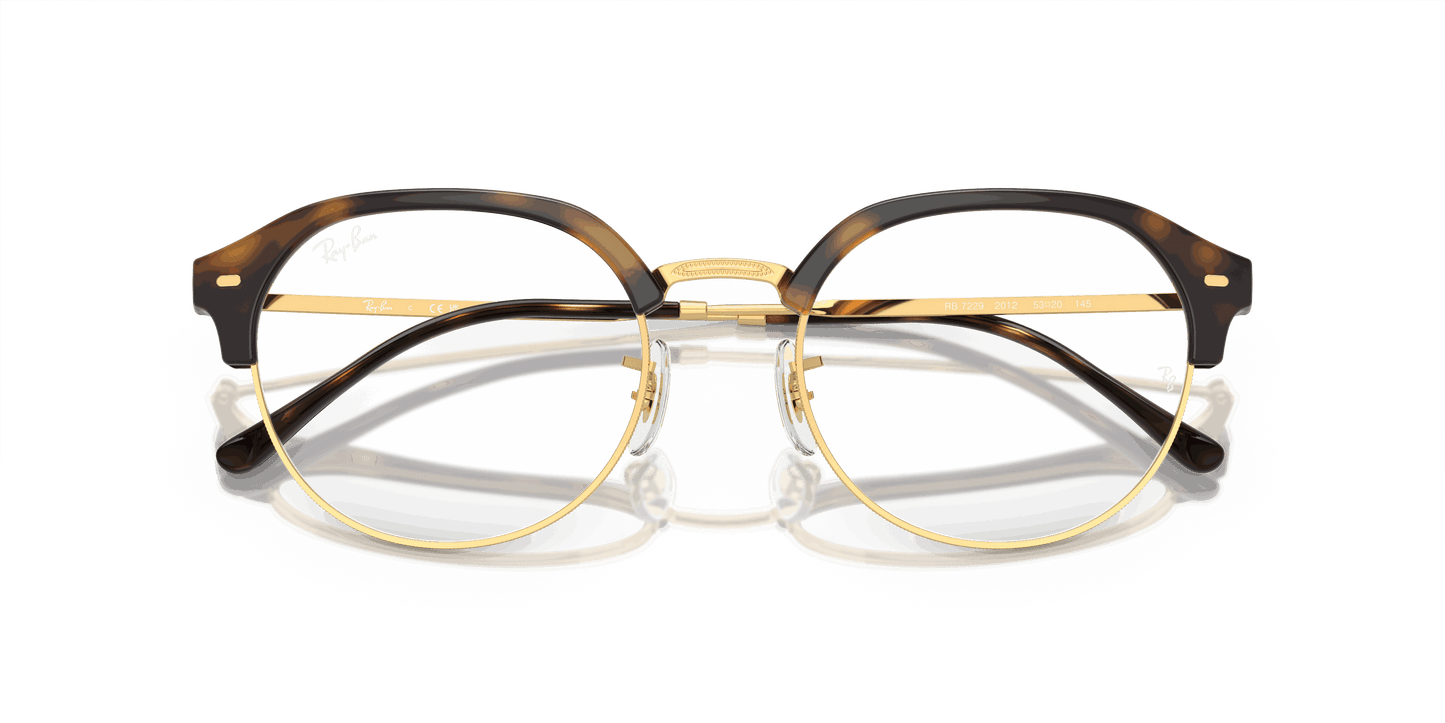 [Clear Lenses, Polished Havana On Gold Frame]