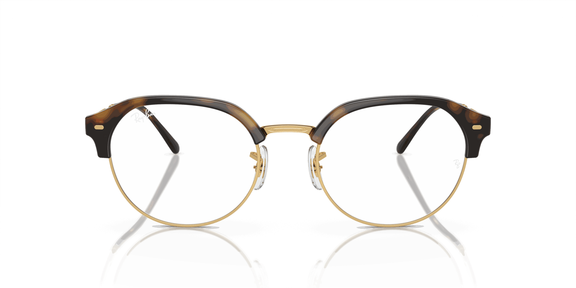[Clear Lenses, Polished Havana On Gold Frame]