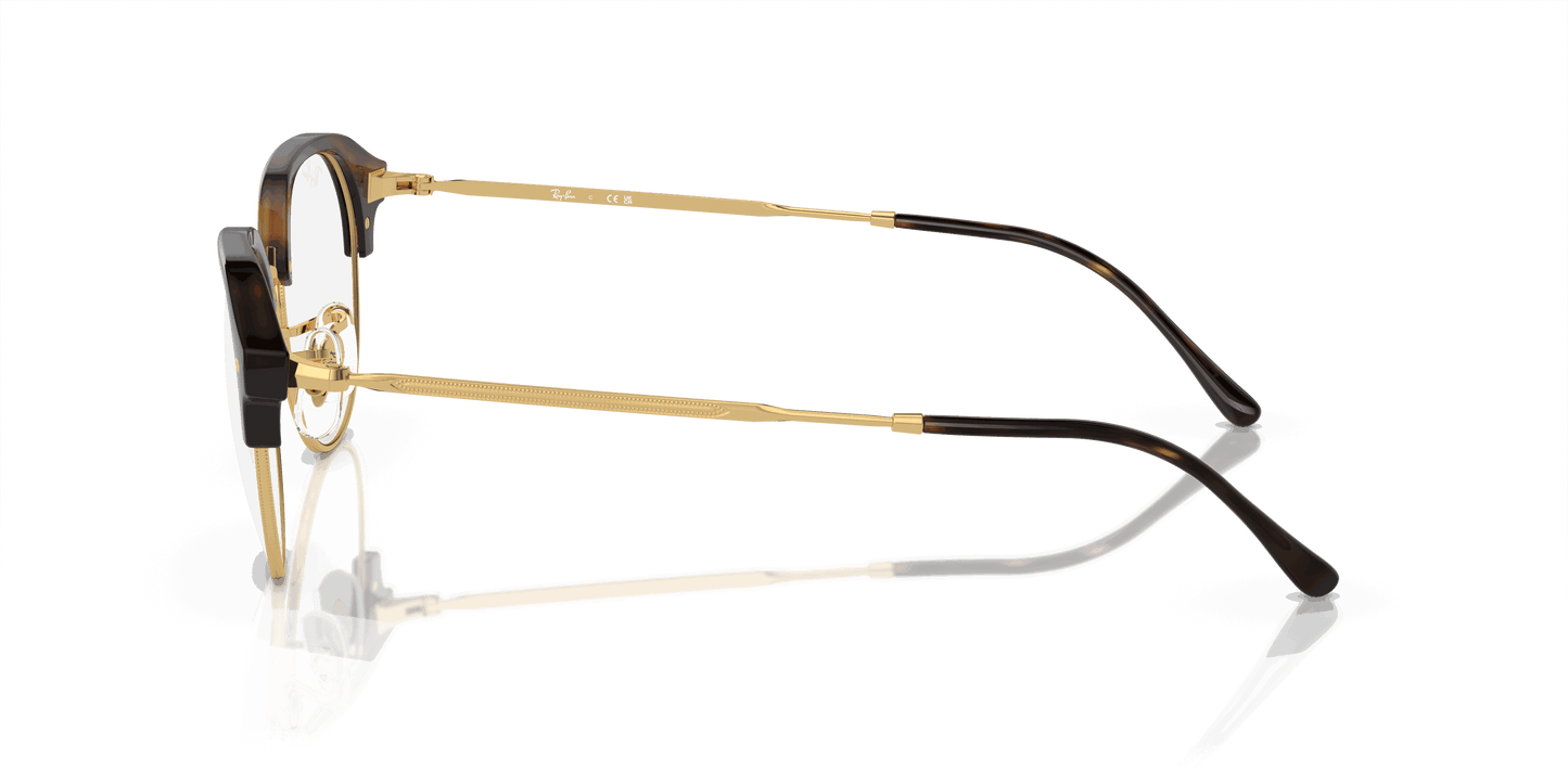 [Clear Lenses, Polished Havana On Gold Frame]