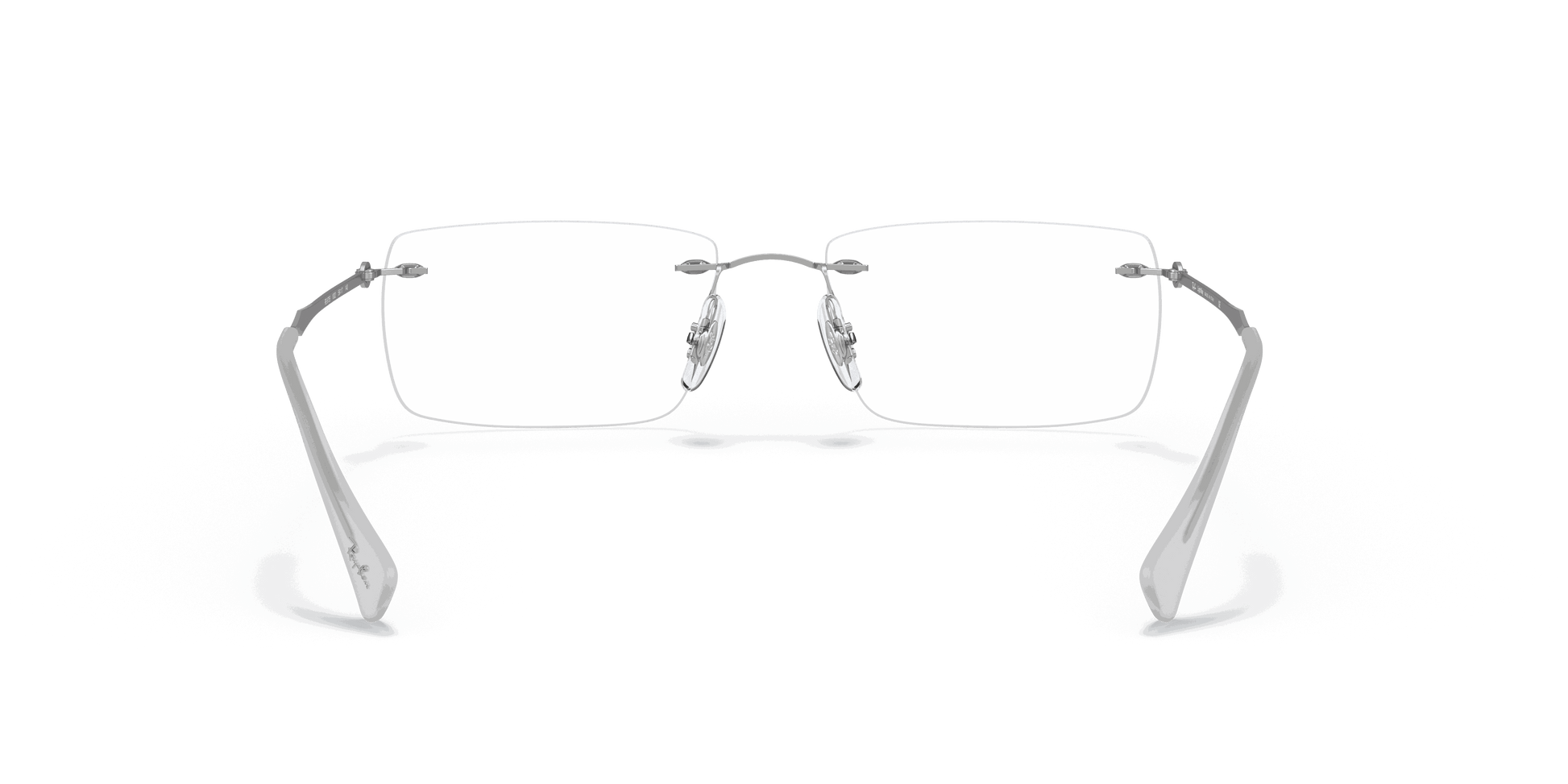 [Clear Lenses, Polished Silver Frame]