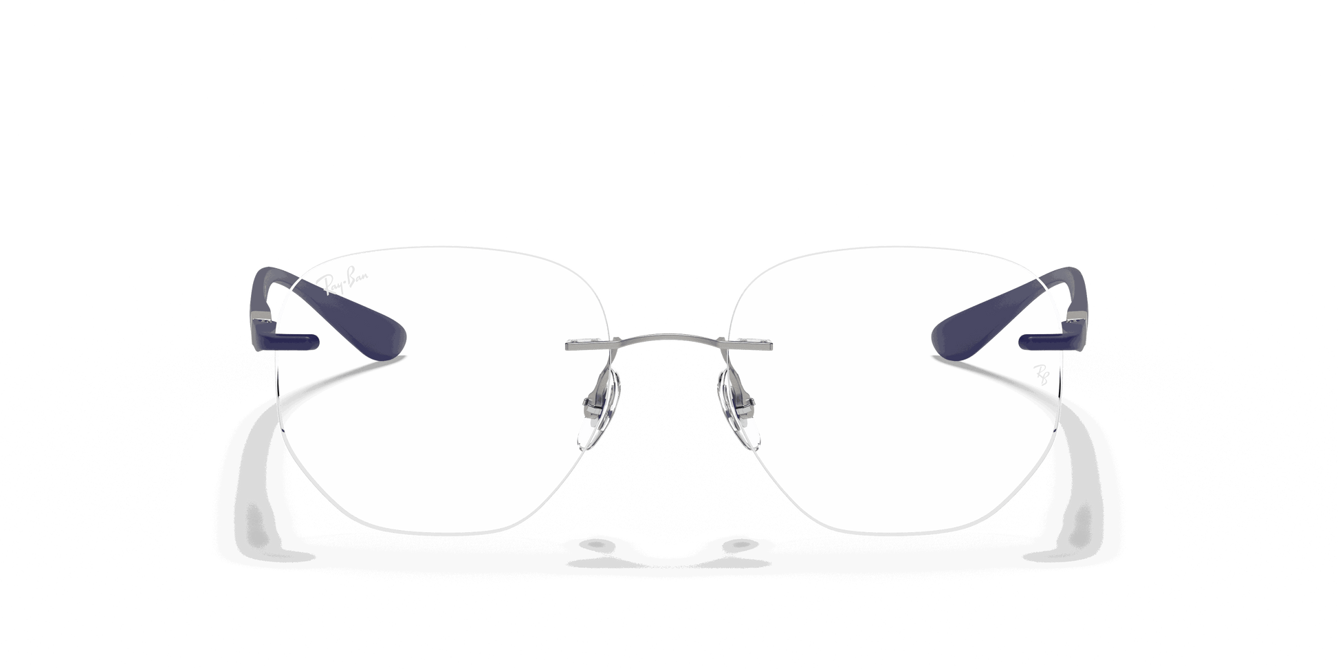 [Clear Lenses, Polished Silver Frame]