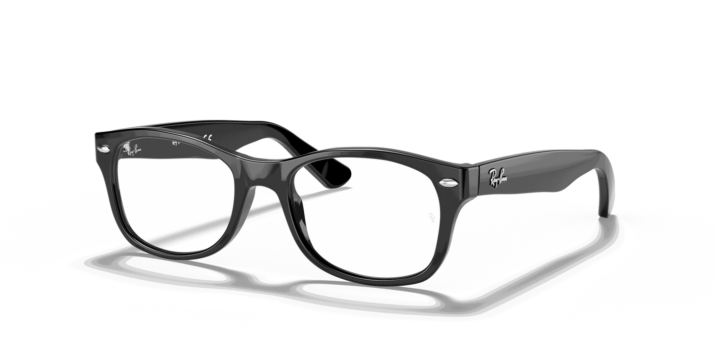 [Clear Lenses, Polished Black Frame]