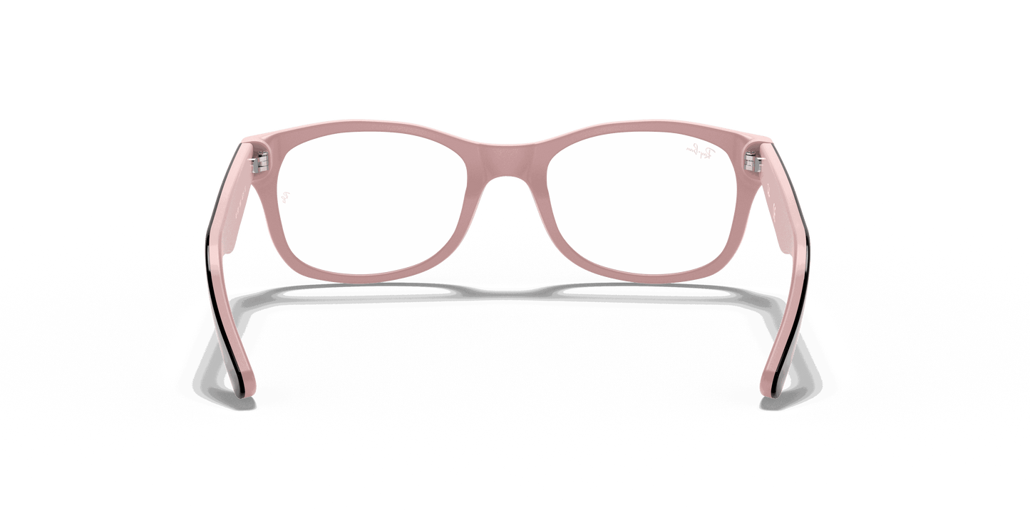 [Clear Lenses, Polished Havana Frame]