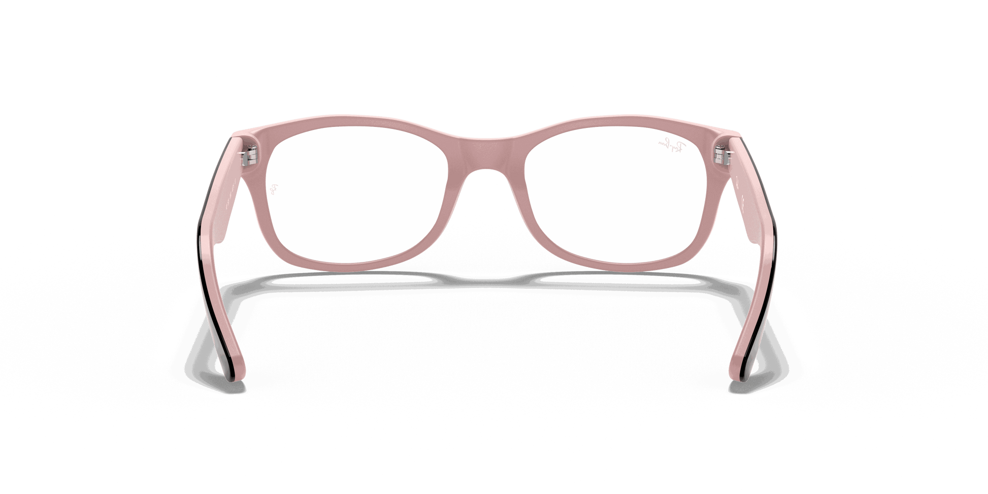 [Clear Lenses, Polished Havana Frame]