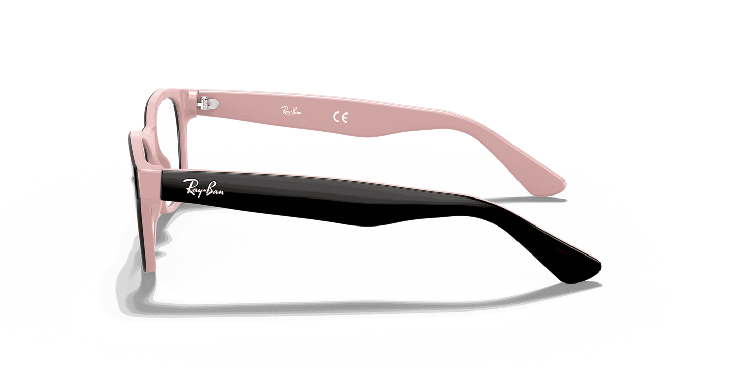 [Clear Lenses, Polished Havana Frame]