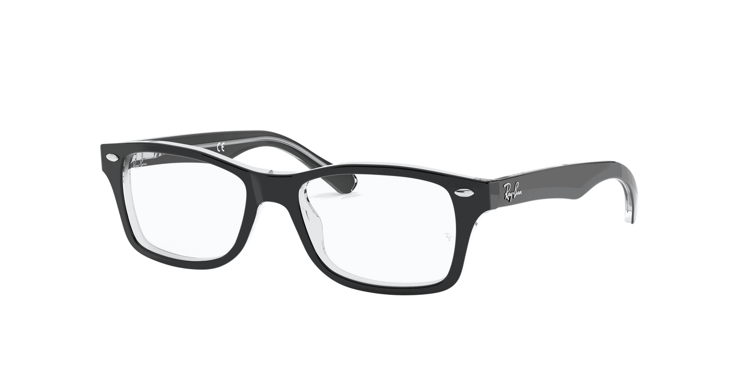[Clear Lenses, Polished Black On Transparent Frame]