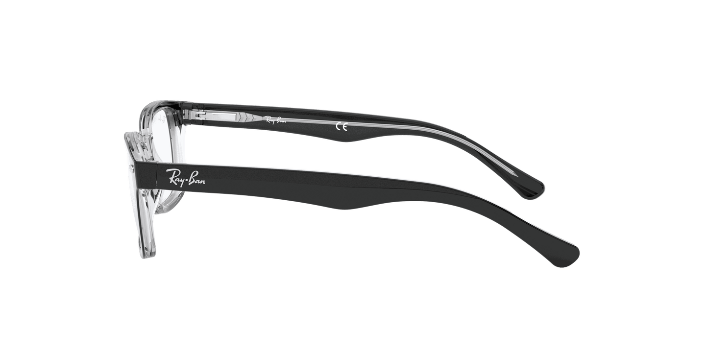 [Clear Lenses, Polished Black On Transparent Frame]